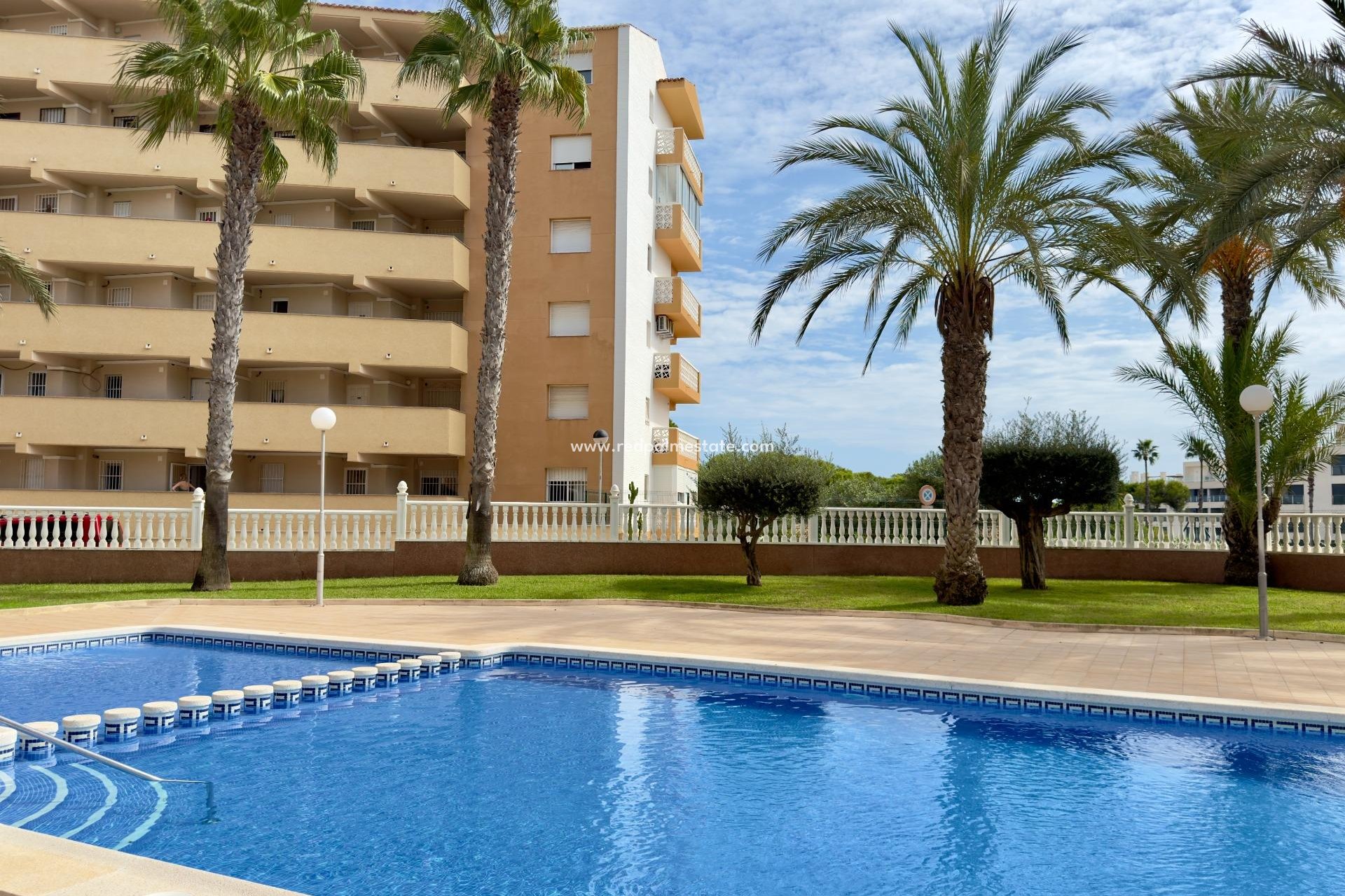 Resale - Apartment -
Guardamar del Segura - Urbanizaciones