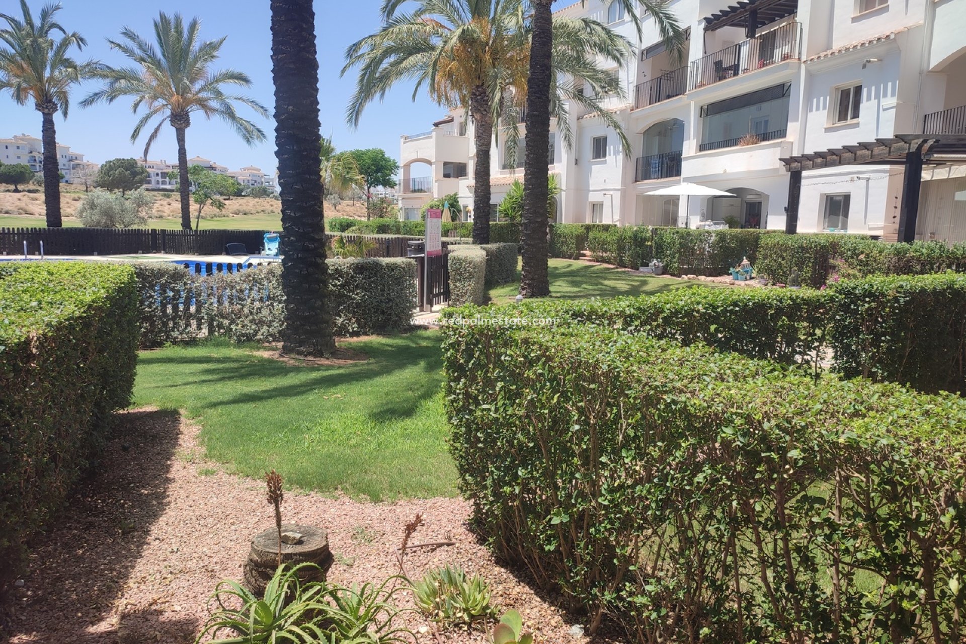 Resale - Apartment -
Hacienda Riquelme Golf Resort - Inland