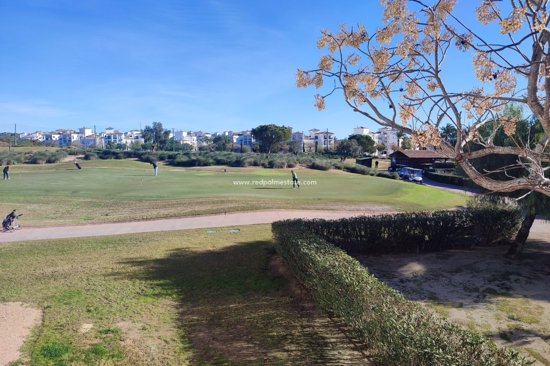 Resale - Apartment -
Hacienda Riquelme Golf Resort - Inland