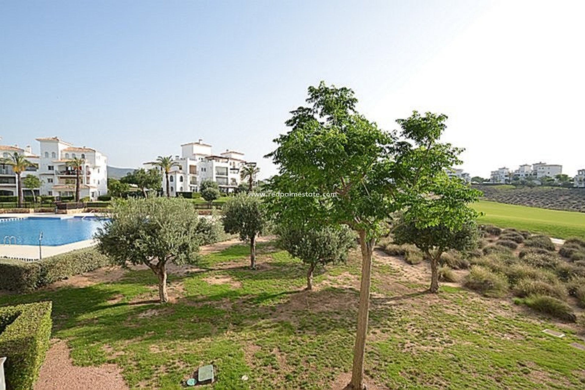 Resale - Apartment -
Hacienda Riquelme Golf Resort