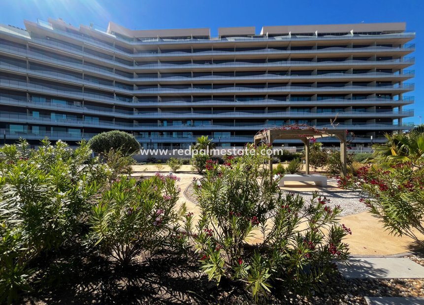 Resale - Apartment -
La Manga - Playa Honda