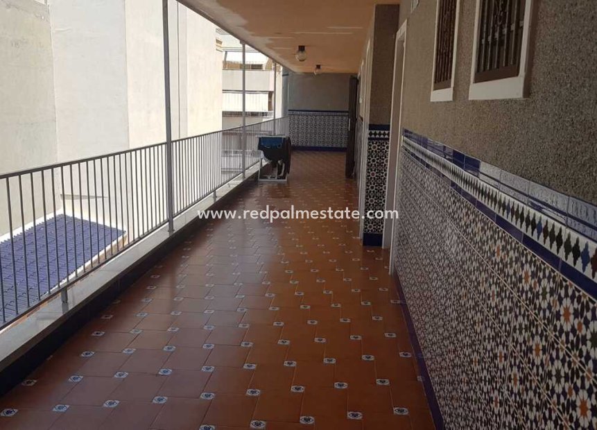 Resale - Apartment -
La Mata - Costa Blanca