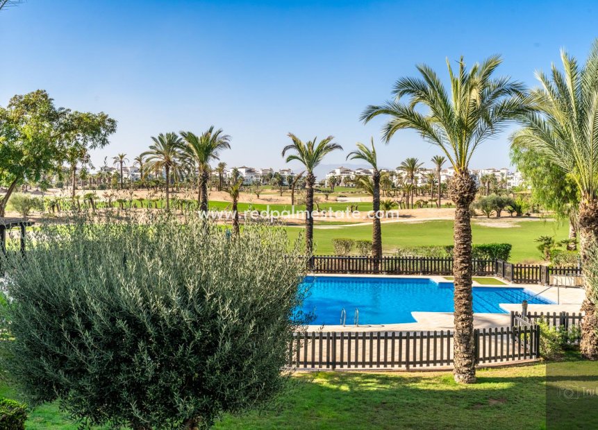 Resale - Apartment -
La Torre Golf Resort - Inland