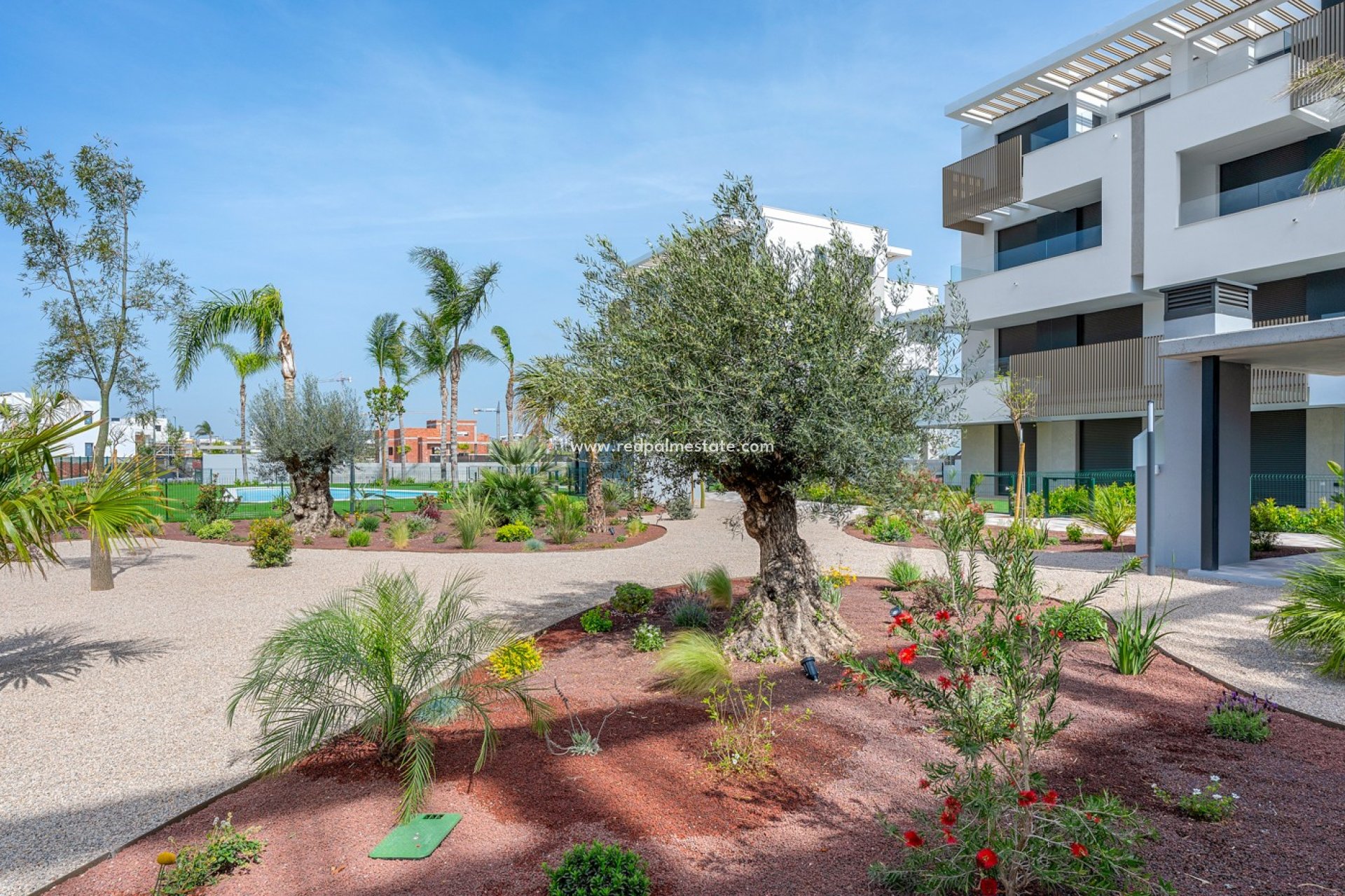 Resale - Apartment -
Los Alczares - Santa Rosalia
