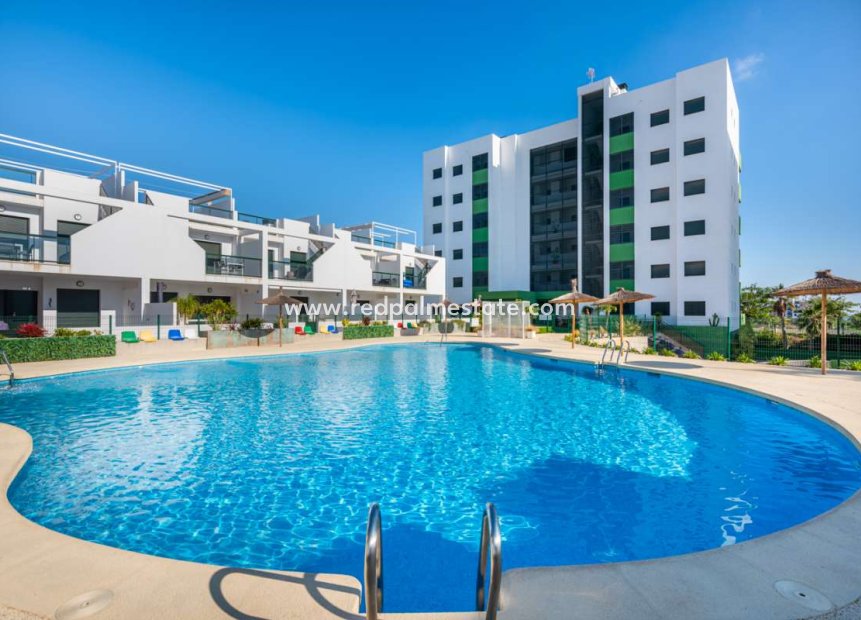 Resale - Apartment -
Mil Palmeras - Costa Blanca