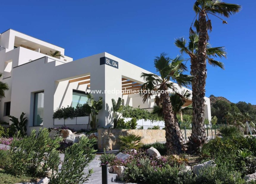 Resale - Apartment -
Monforte del Cid - Font del Llop