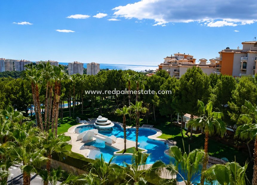 Resale - Apartment -
Orihuela Costa - Altos de Campoamor