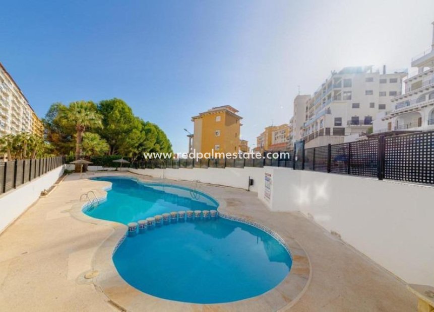 Resale - Apartment -
Orihuela Costa - Altos de Campoamor