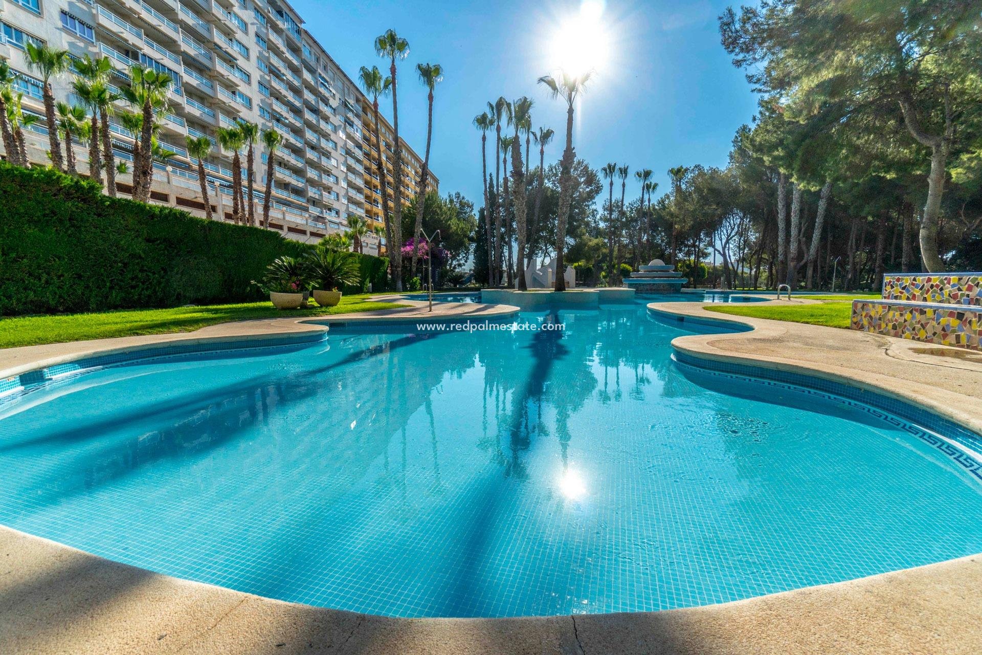 Resale - Apartment -
Orihuela Costa - Altos de Campoamor