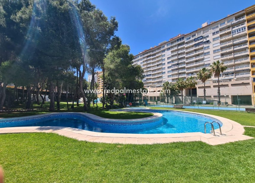 Resale - Apartment -
Orihuela Costa - Campoamor