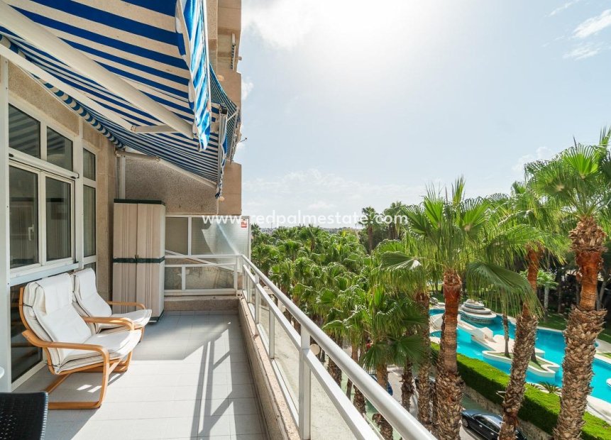 Resale - Apartment -
Orihuela Costa - Campoamor