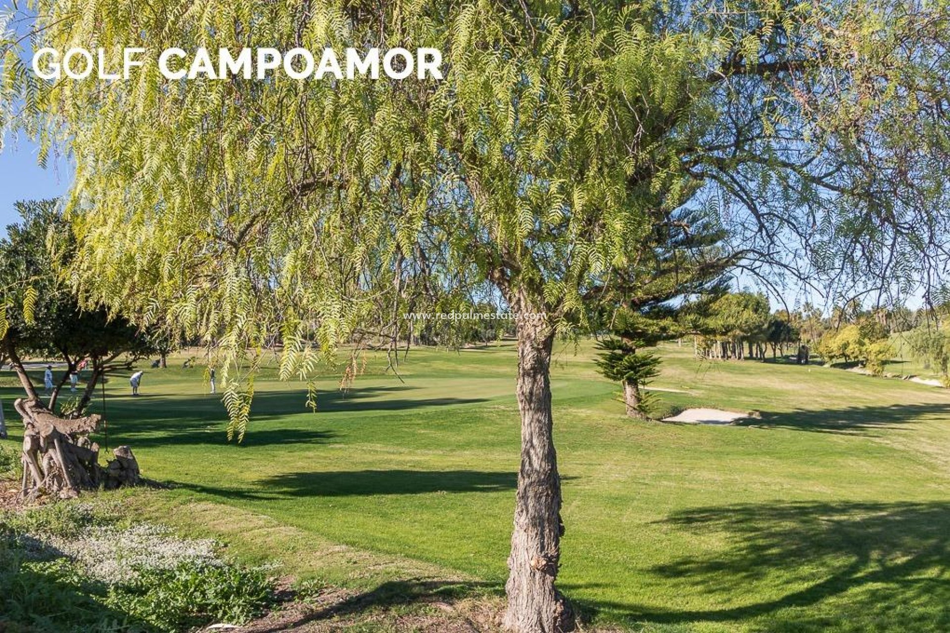 Resale - Apartment -
Orihuela Costa - Campoamor