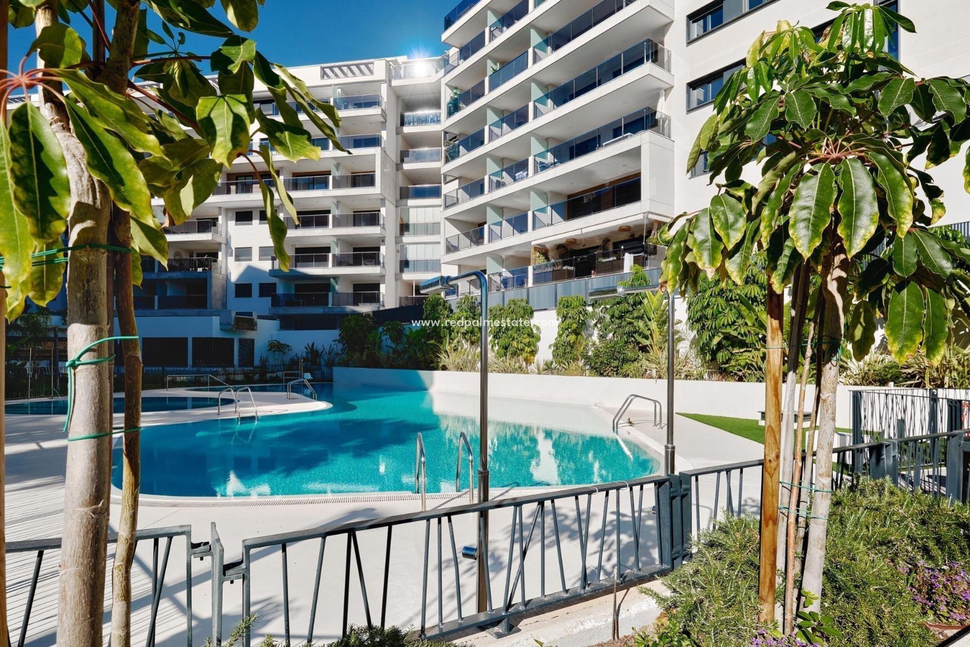 Resale - Apartment -
Orihuela Costa - Campoamor