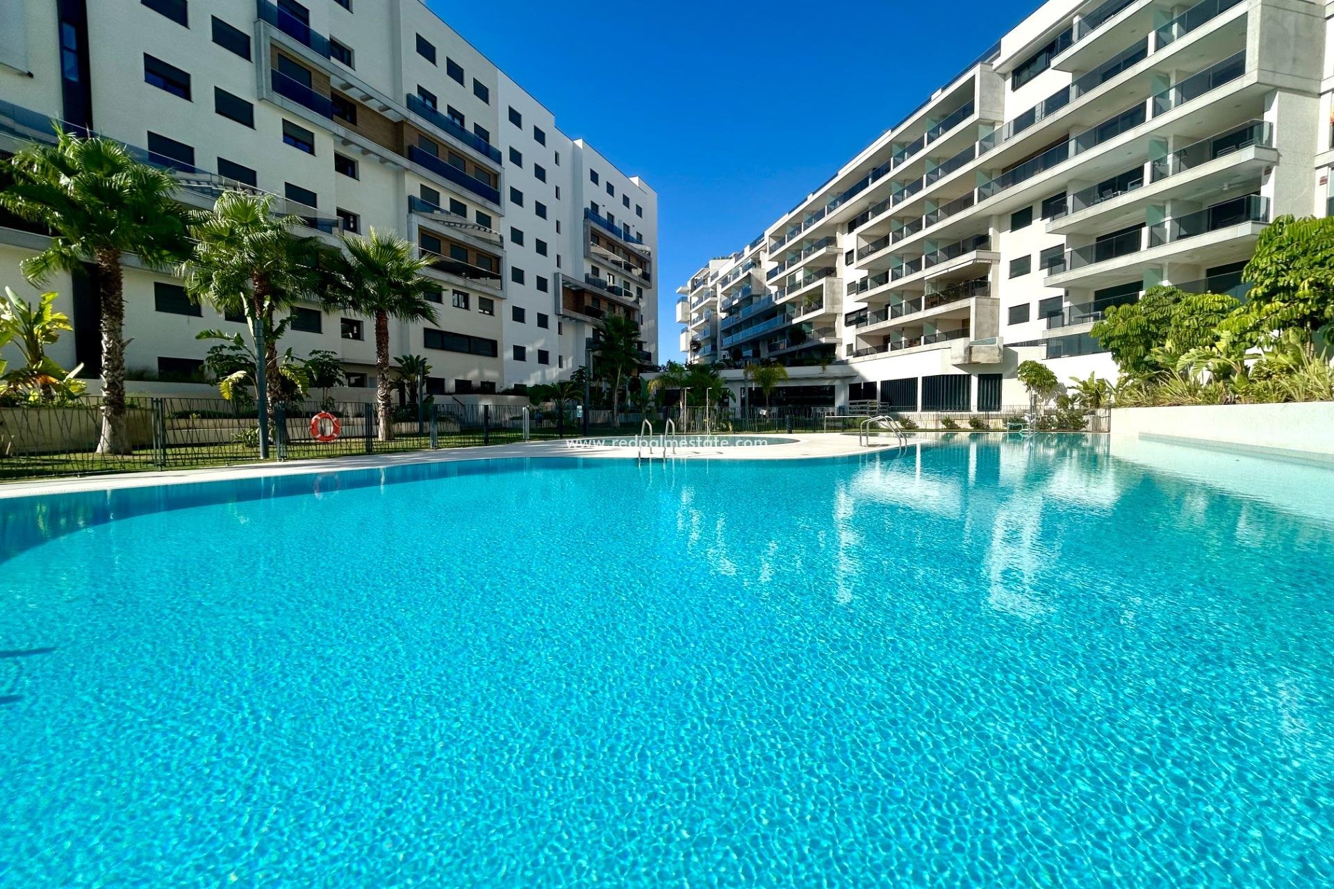 Resale - Apartment -
Orihuela Costa - Campoamor