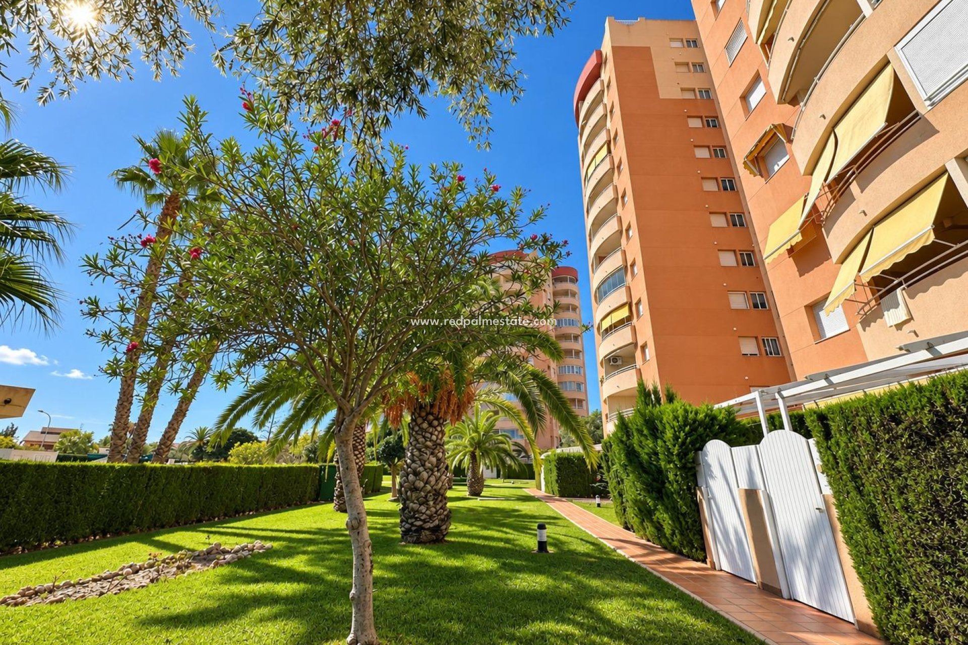 Resale - Apartment -
Orihuela Costa - Campoamor