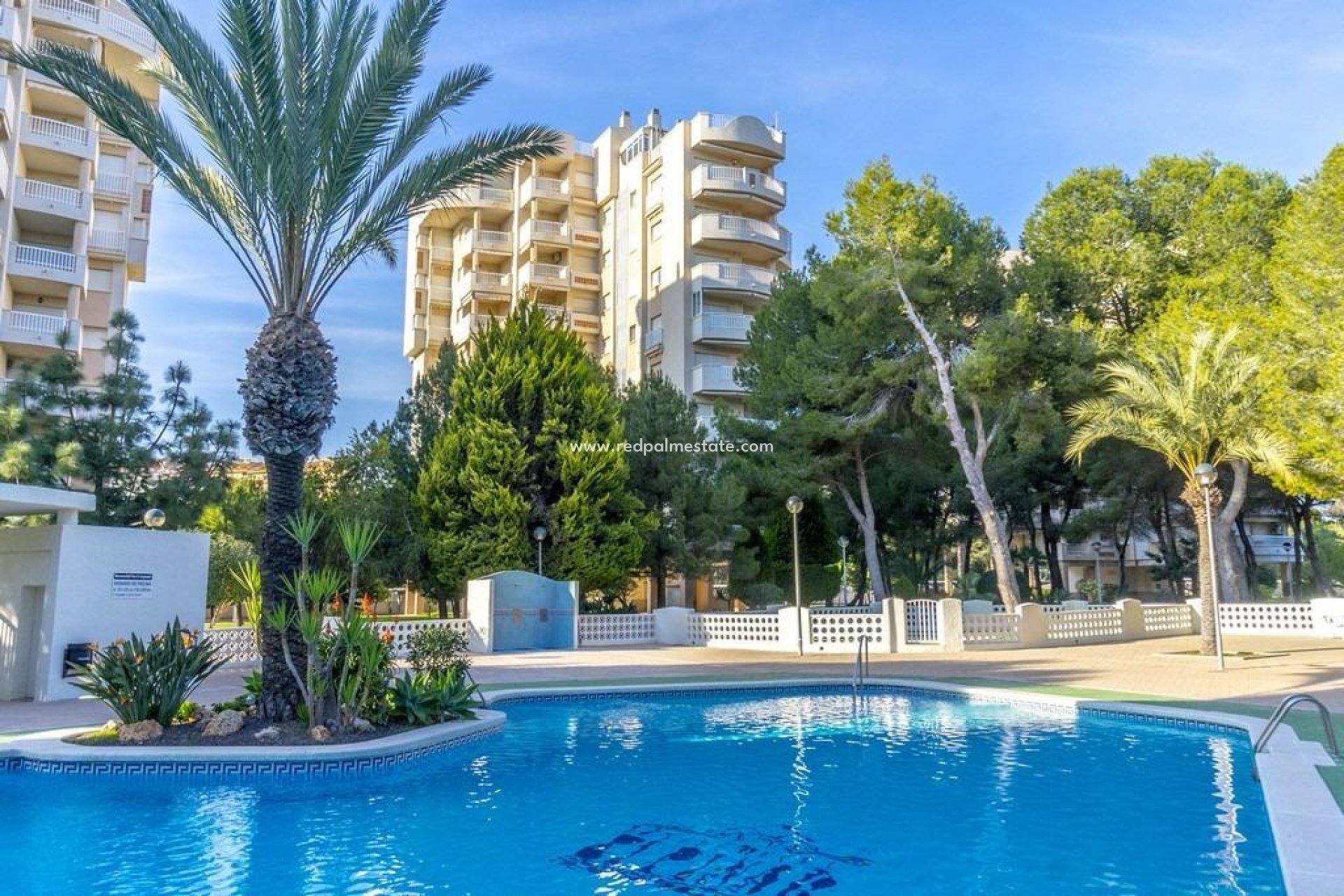 Resale - Apartment -
Orihuela Costa - Campoamor