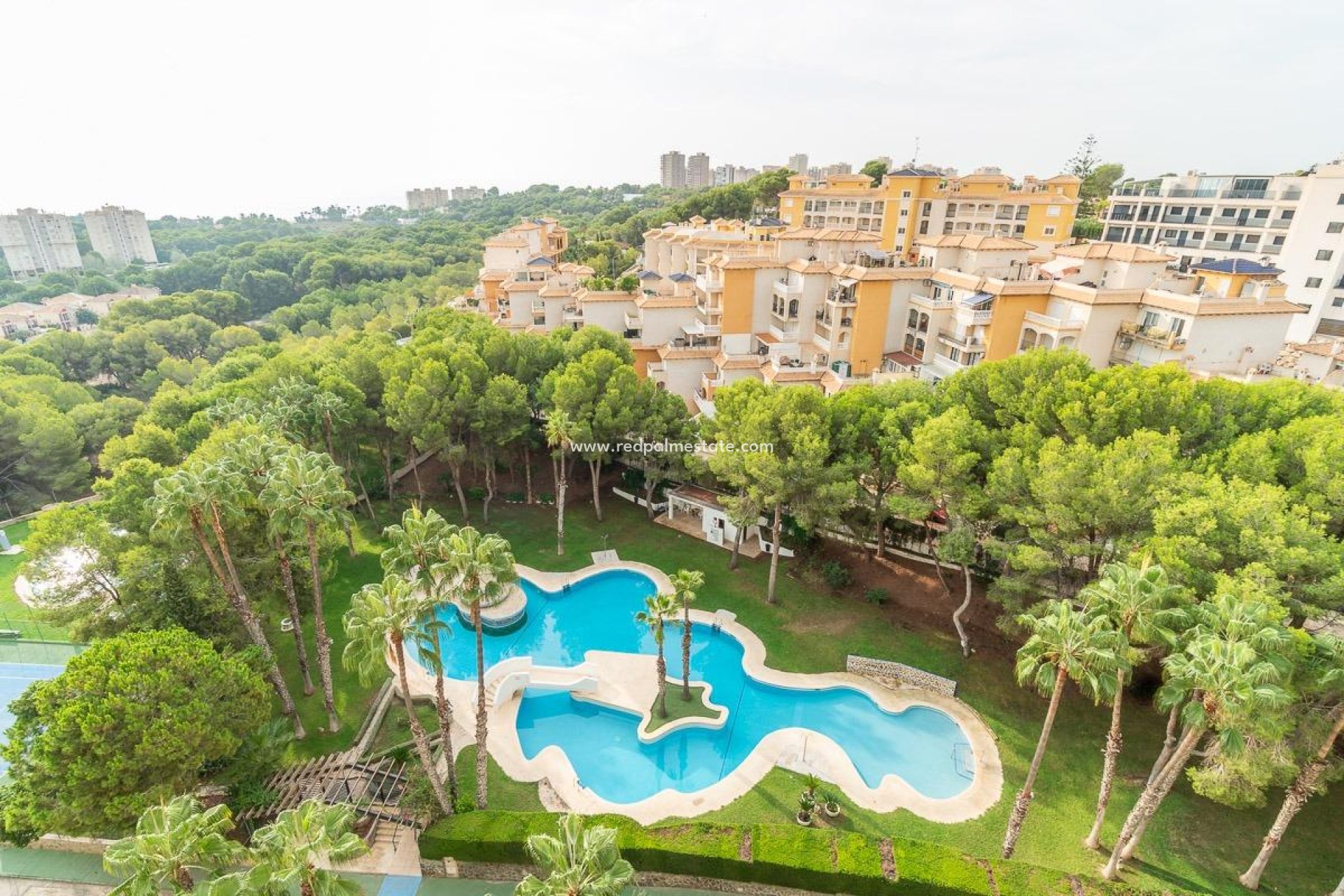 Resale - Apartment -
Orihuela Costa - Campoamor