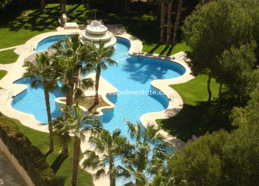 Resale - Apartment -
Orihuela Costa - Costa Blanca