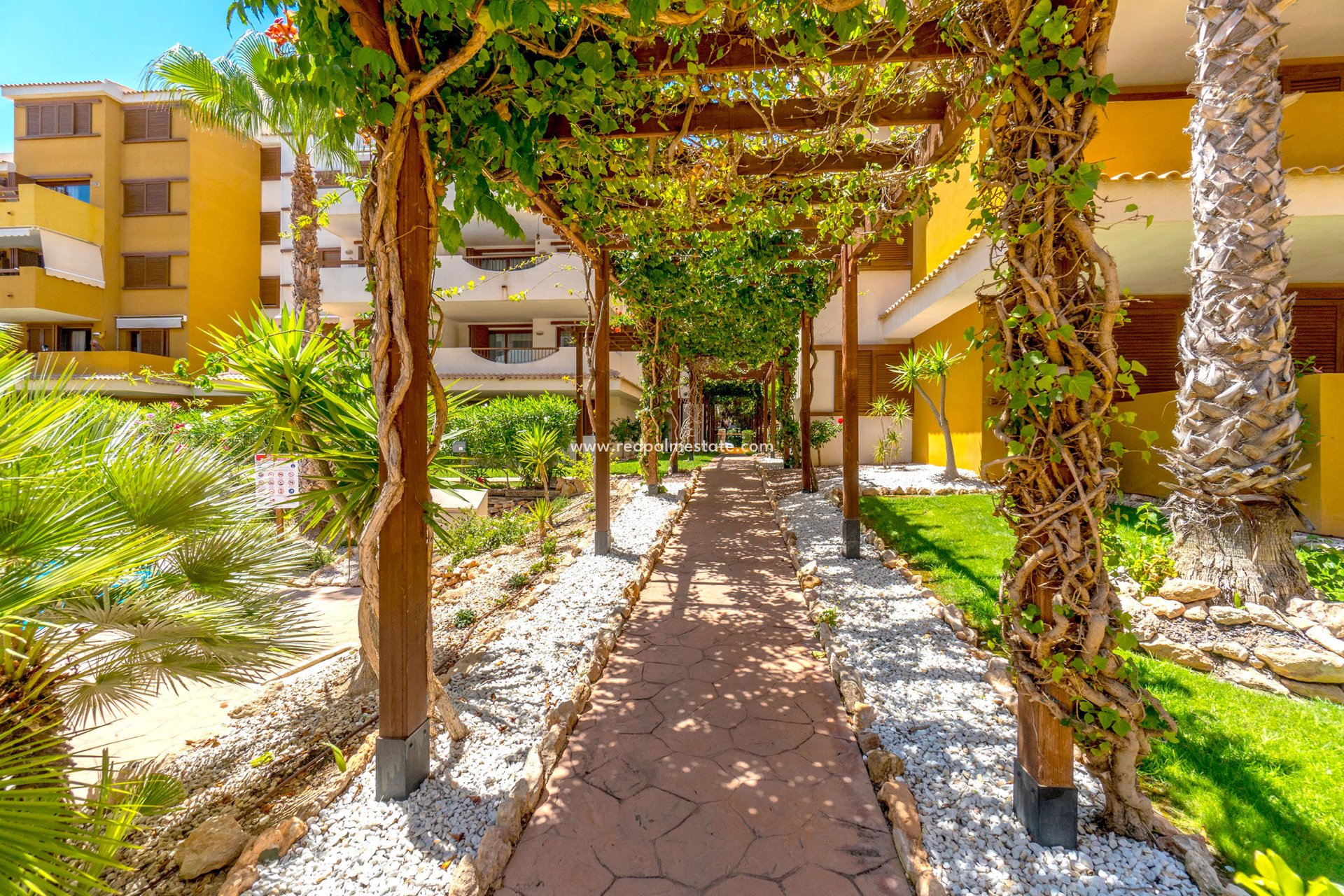 Resale - Apartment -
Orihuela Costa - Costa Blanca