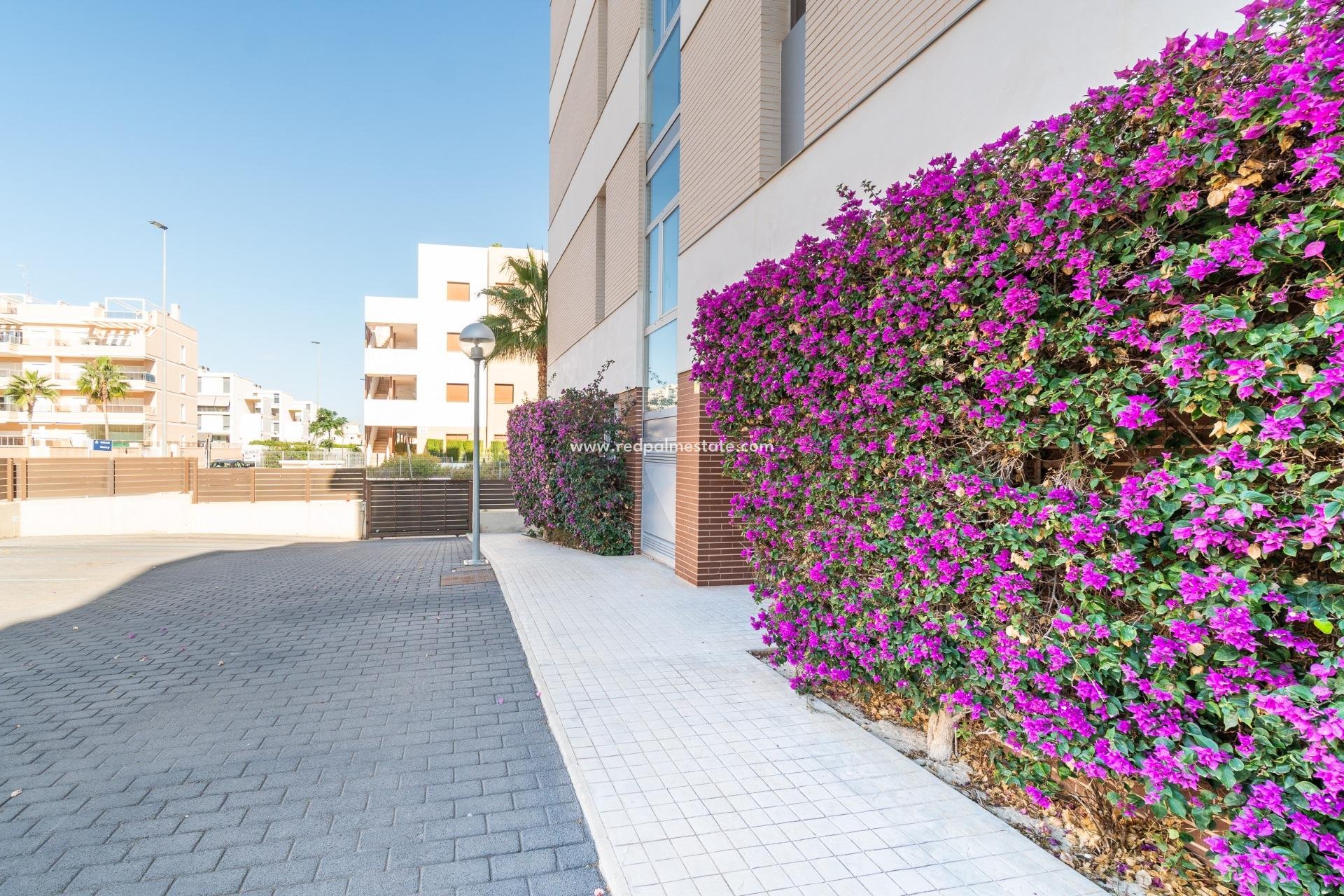 Resale - Apartment -
Orihuela Costa - Los Dolses