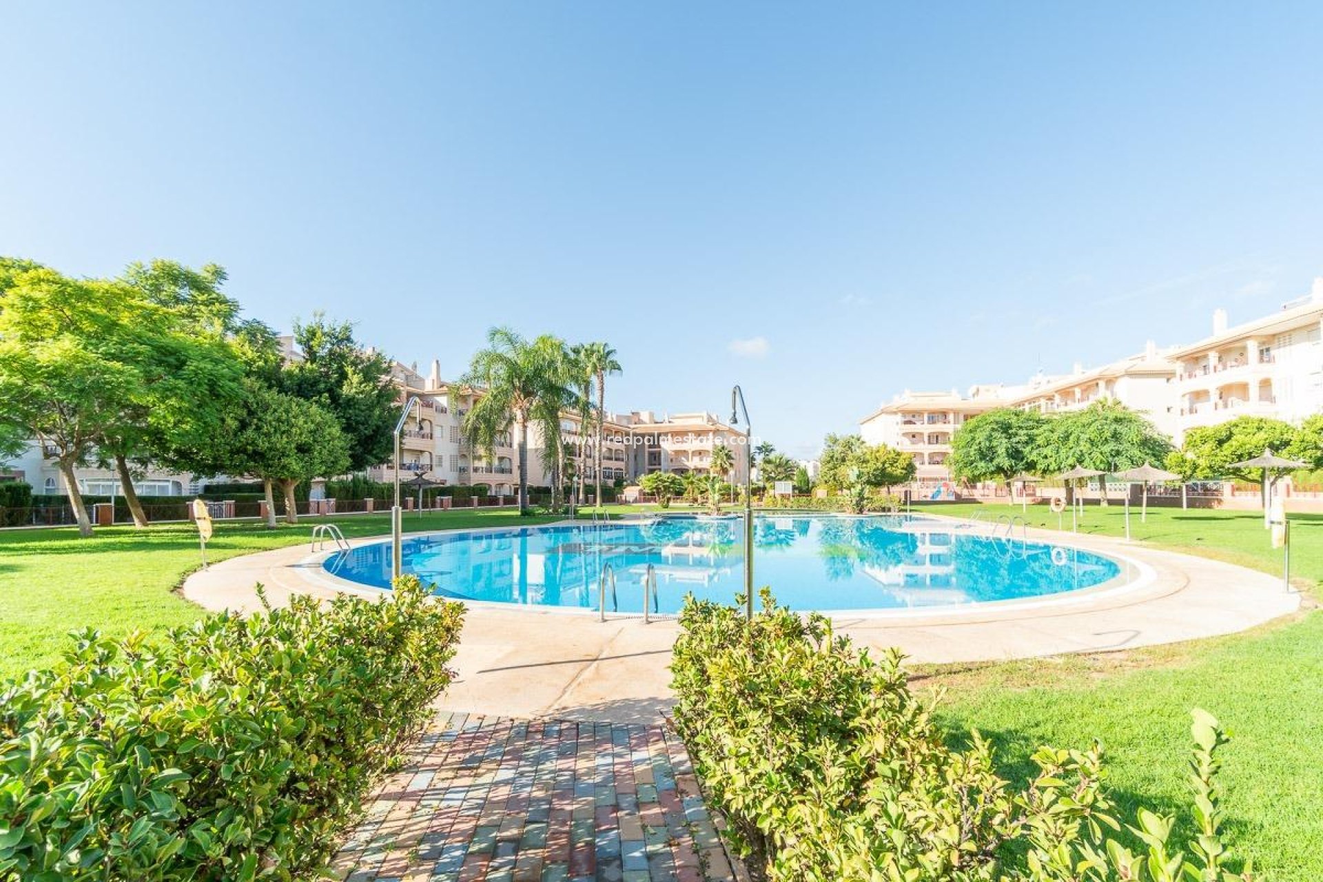 Resale - Apartment -
Orihuela Costa - Playa Flamenca