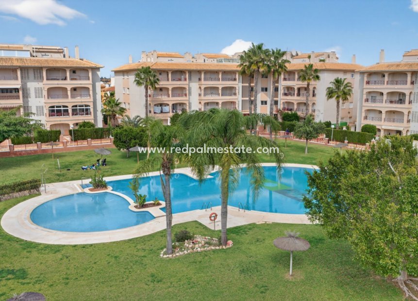 Resale - Apartment -
Orihuela Costa - Playa Flamenca