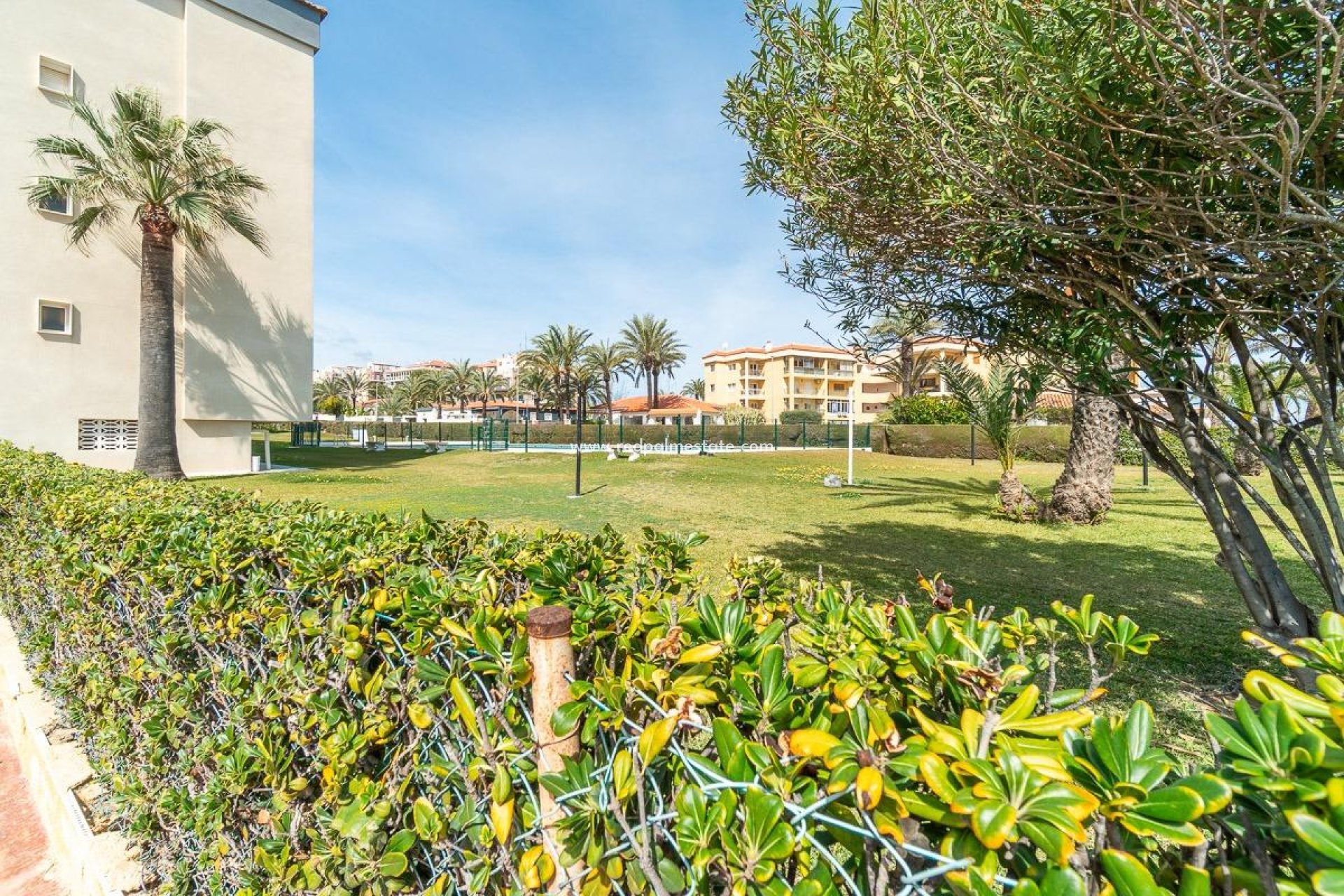 Resale - Apartment -
Orihuela Costa - Punta prima