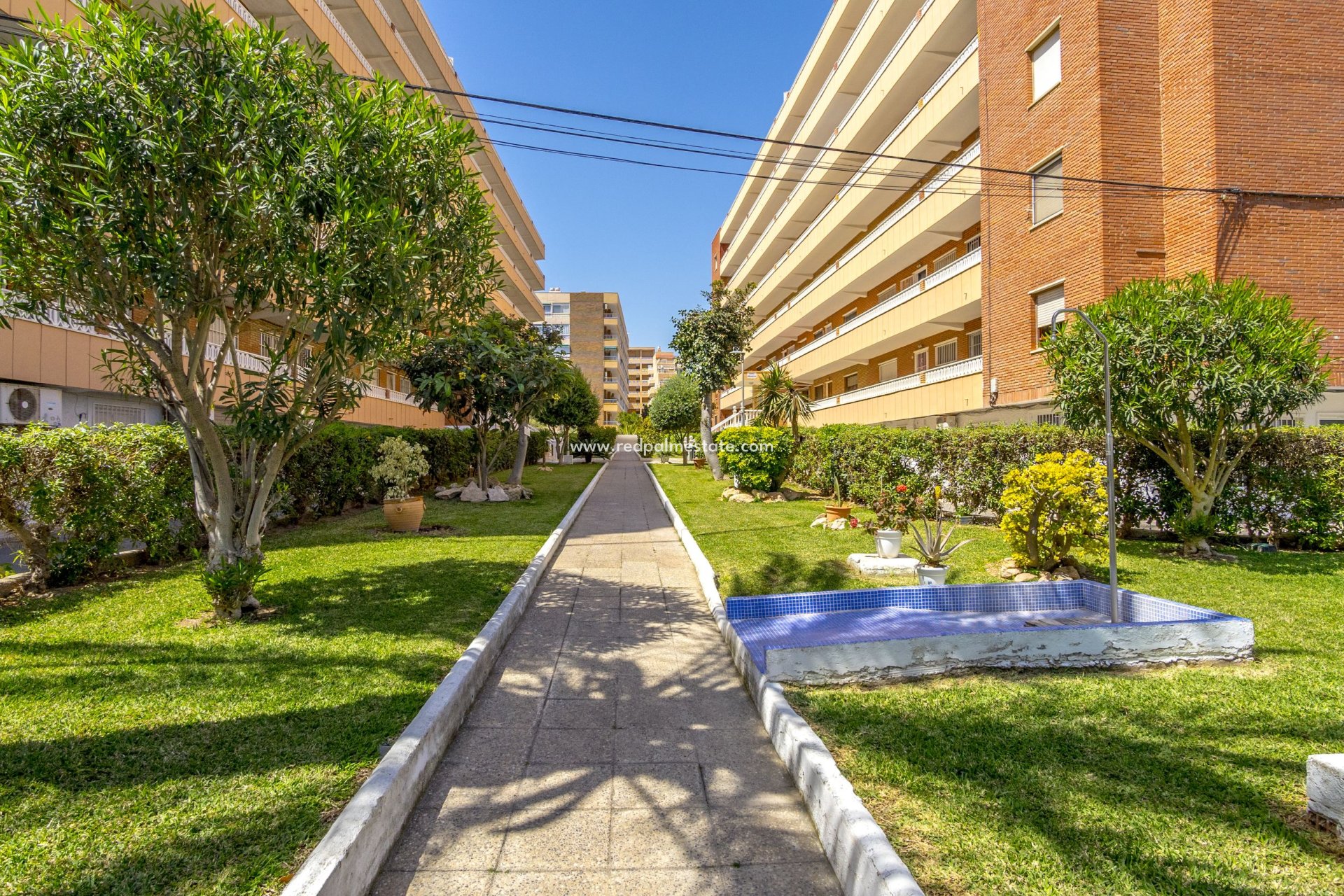 Resale - Apartment -
Orihuela Costa - Punta Prima