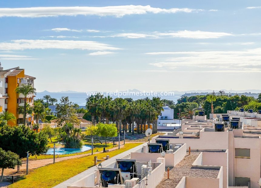 Resale - Apartment -
Orihuela Costa - Punta Prima