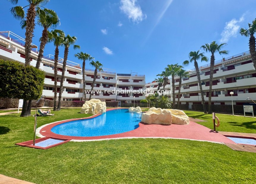 Resale - Apartment -
Orihuela Costa - Punta prima