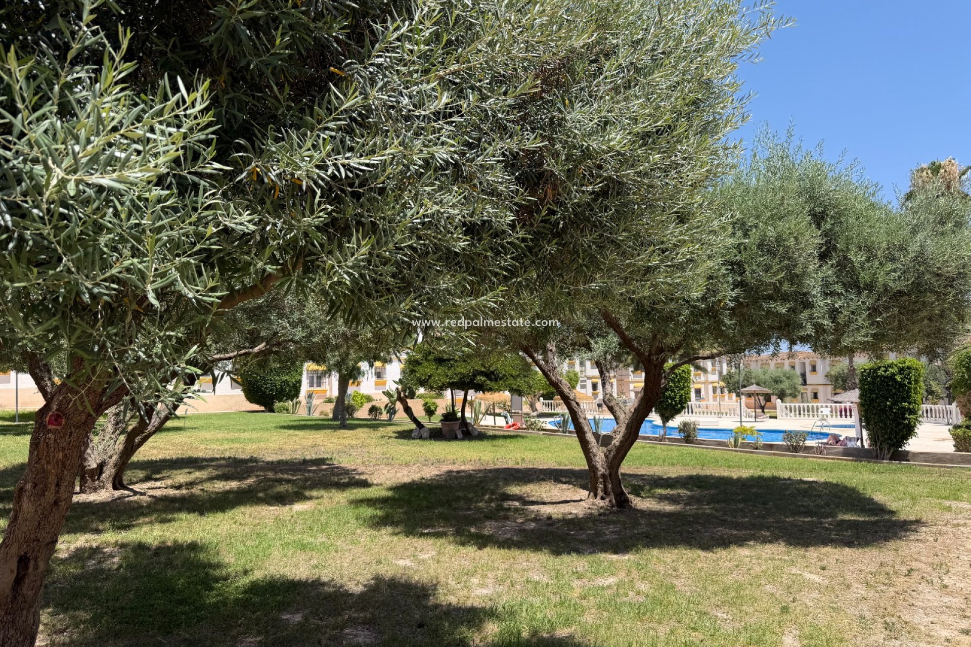 Resale - Apartment -
Orihuela Costa