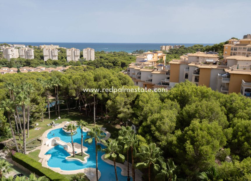 Resale - Apartment -
Orihuela Costa