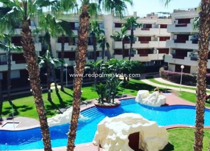 Resale - Apartment -
Orihuela - Inland