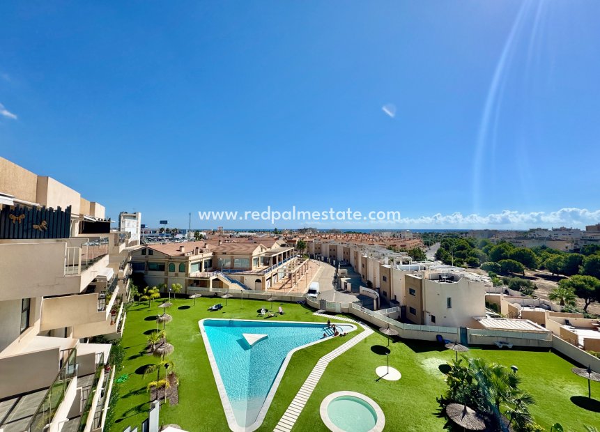 Resale - Apartment -
Orihuela - Inland