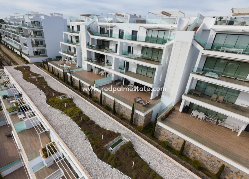 Resale - Apartment -
Orihuela - Las Colinas Golf