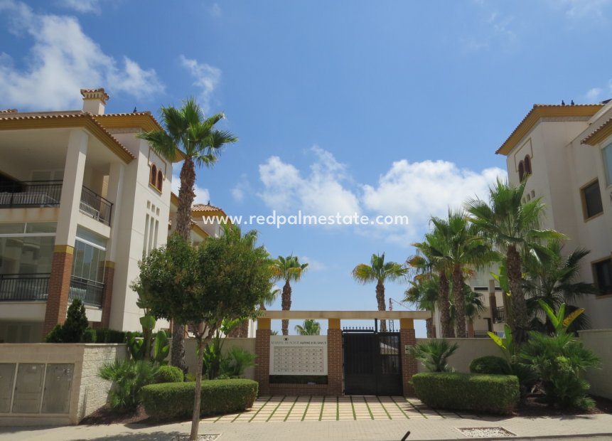 Resale - Apartment Penthouse -
Guardamar del Segura - Costa Blanca