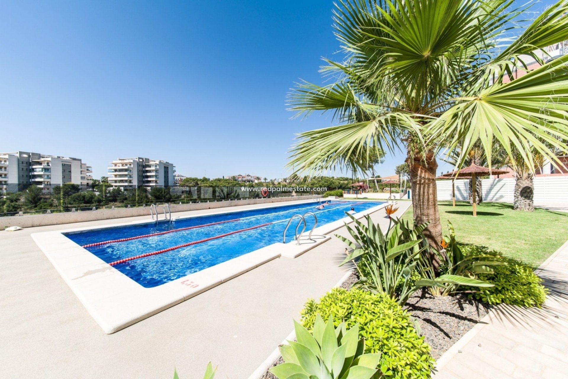 Resale - Apartment Penthouse -
Orihuela Costa - Costa Blanca