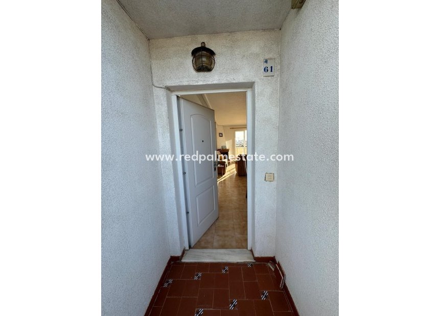 Resale - Apartment Penthouse -
Orihuela Costa - Punta Prima