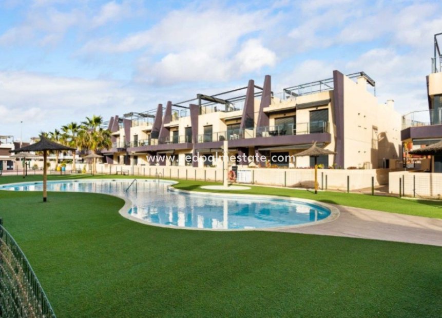 Resale - Apartment -
Pilar de la Horadada - Costa Blanca