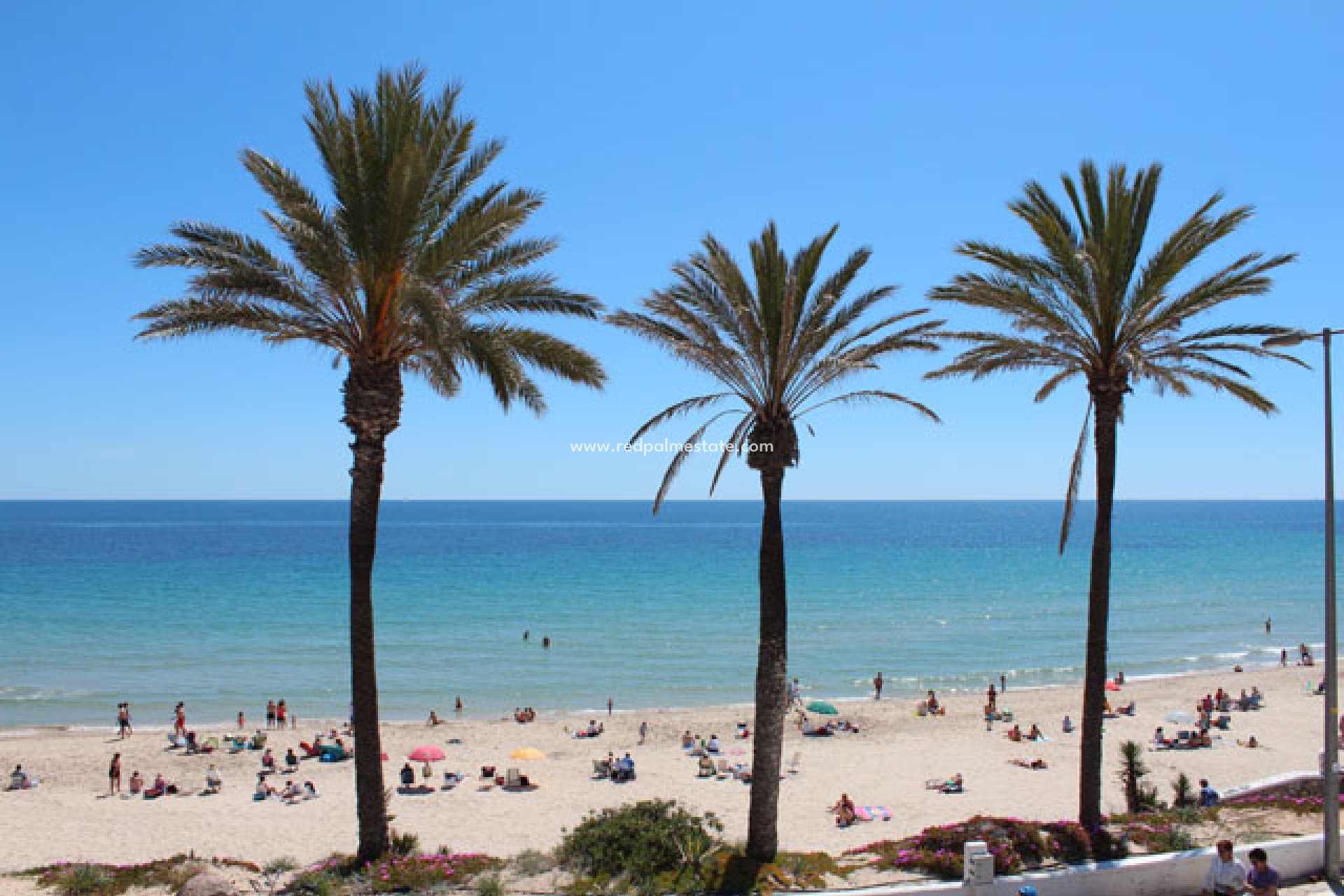 Resale - Apartment -
Pilar de la Horadada - Mil Palmeras