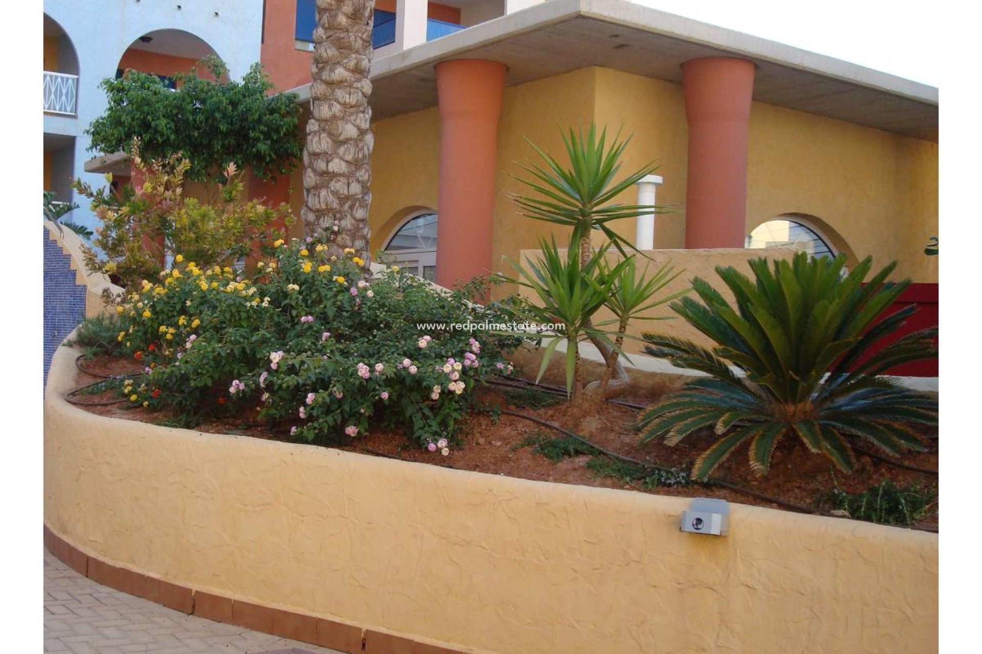Resale - Apartment -
Playa Honda - Costa Calida