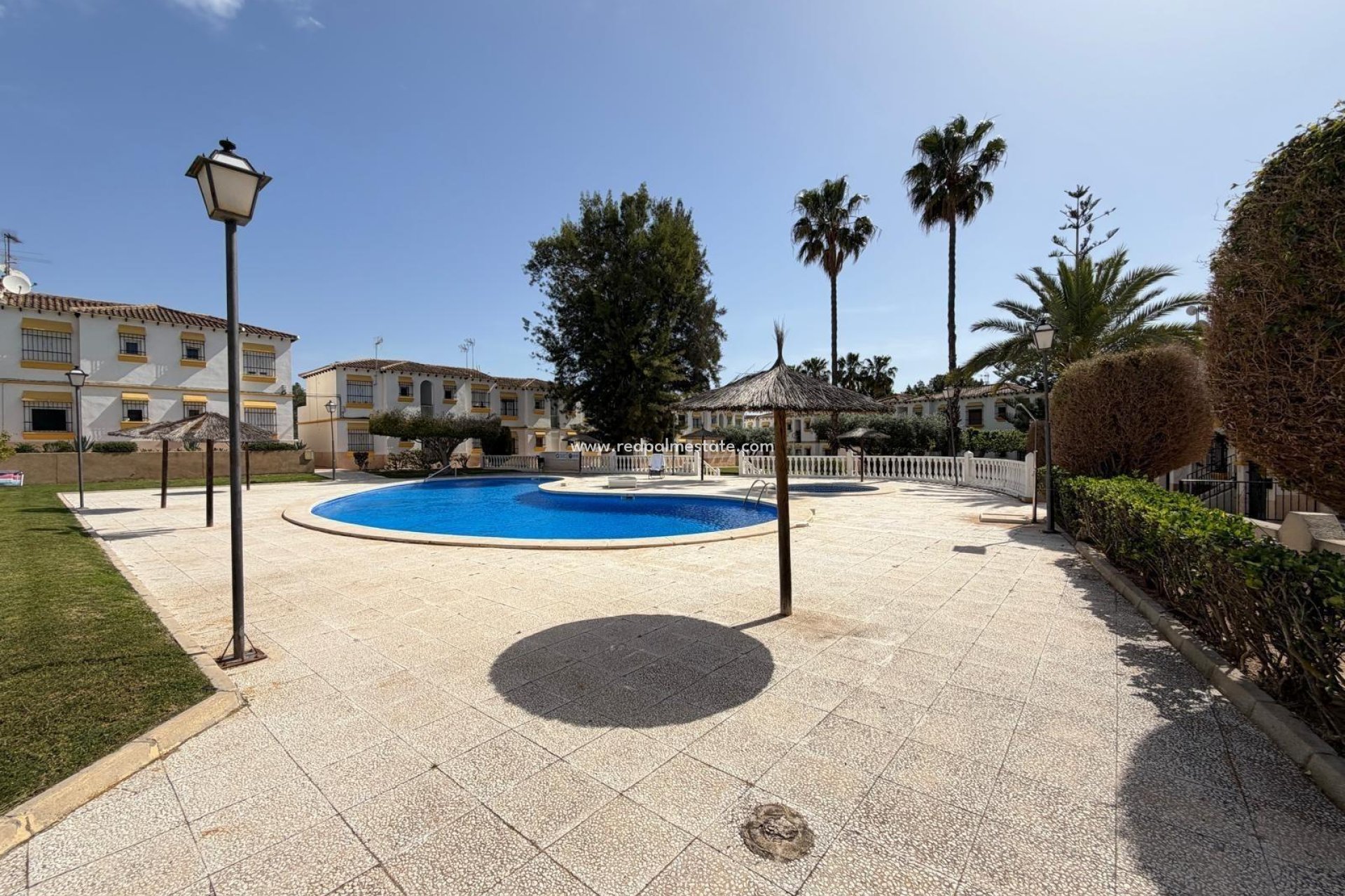 Resale - Apartment -
San Miguel de Salinas - Blue Lagoon - Galán