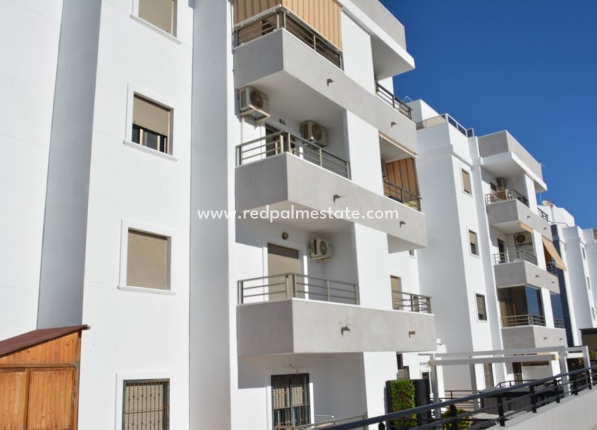 Resale - Apartment -
San Miguel de Salinas - Costa Blanca
