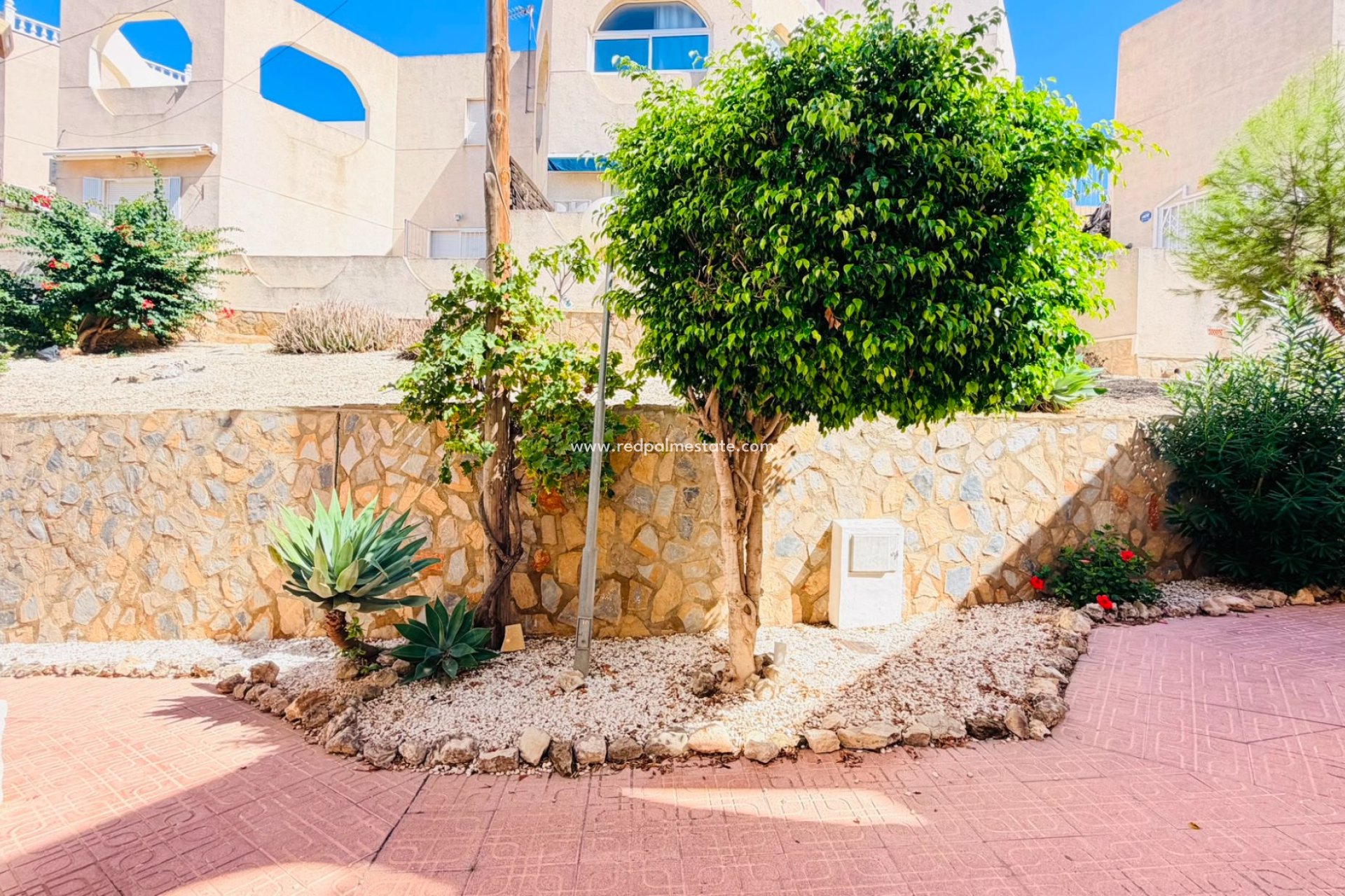 Resale - Apartment -
San Miguel de Salinas - Inland