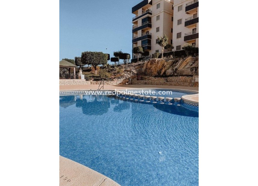 Resale - Apartment -
San Miguel de Salinas - Inland