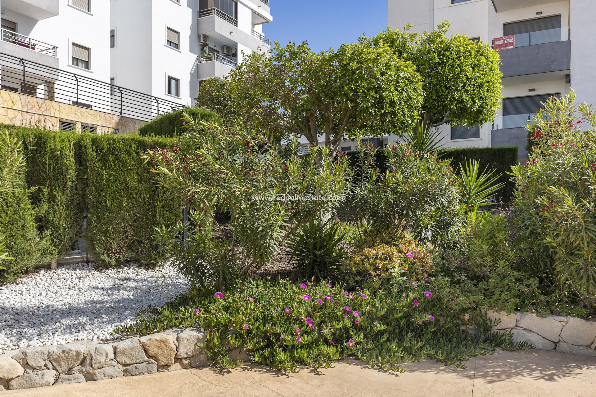 Resale - Apartment -
San Miguel de Salinas - Inland