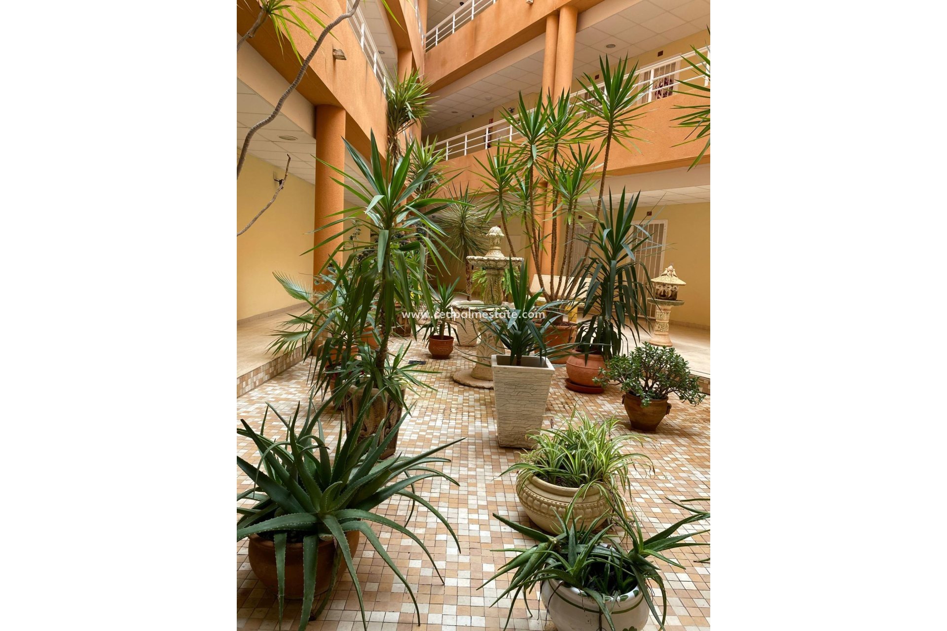 Resale - Apartment -
San Miguel de Salinas - Pueblo 9