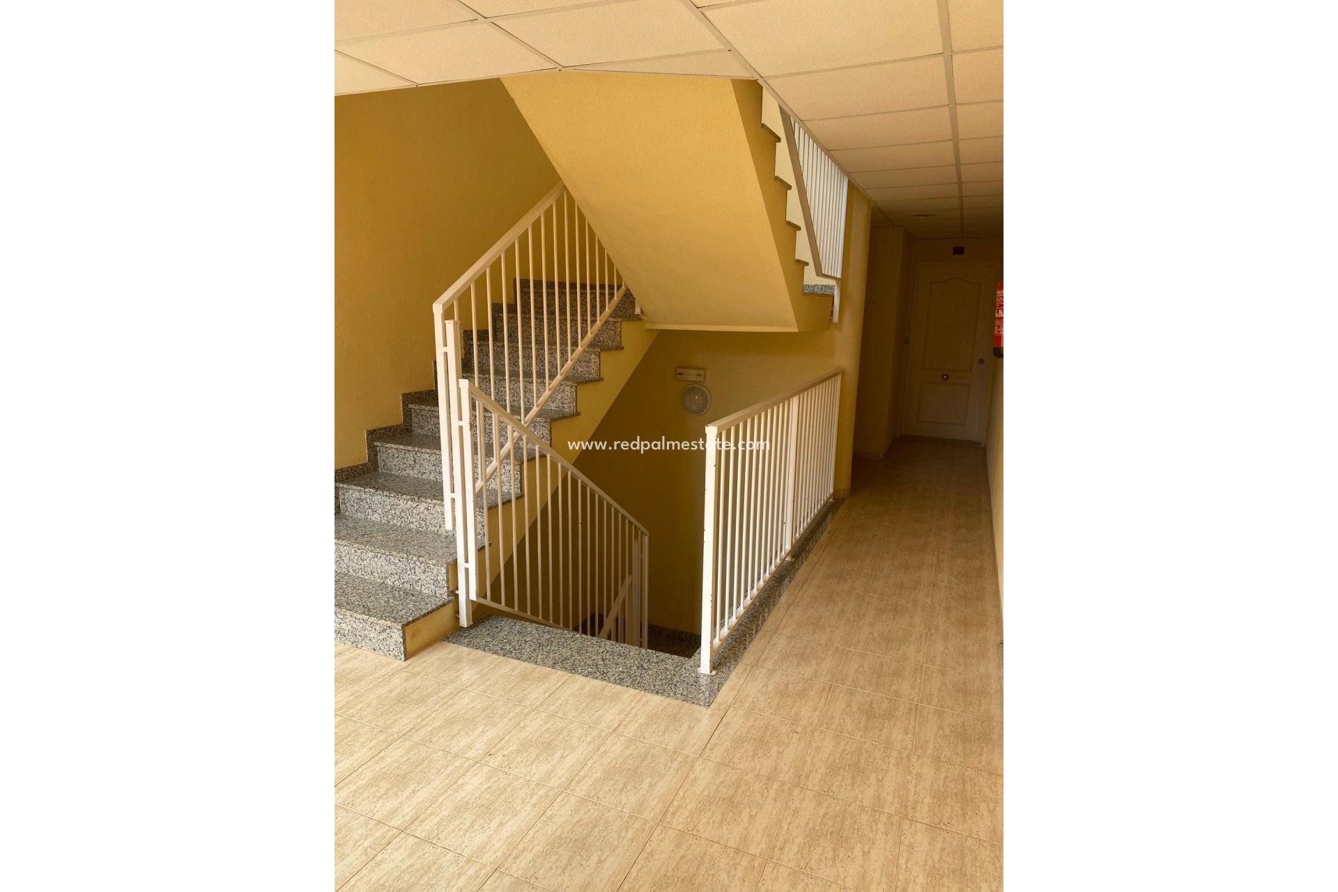 Resale - Apartment -
San Miguel de Salinas - Pueblo 9