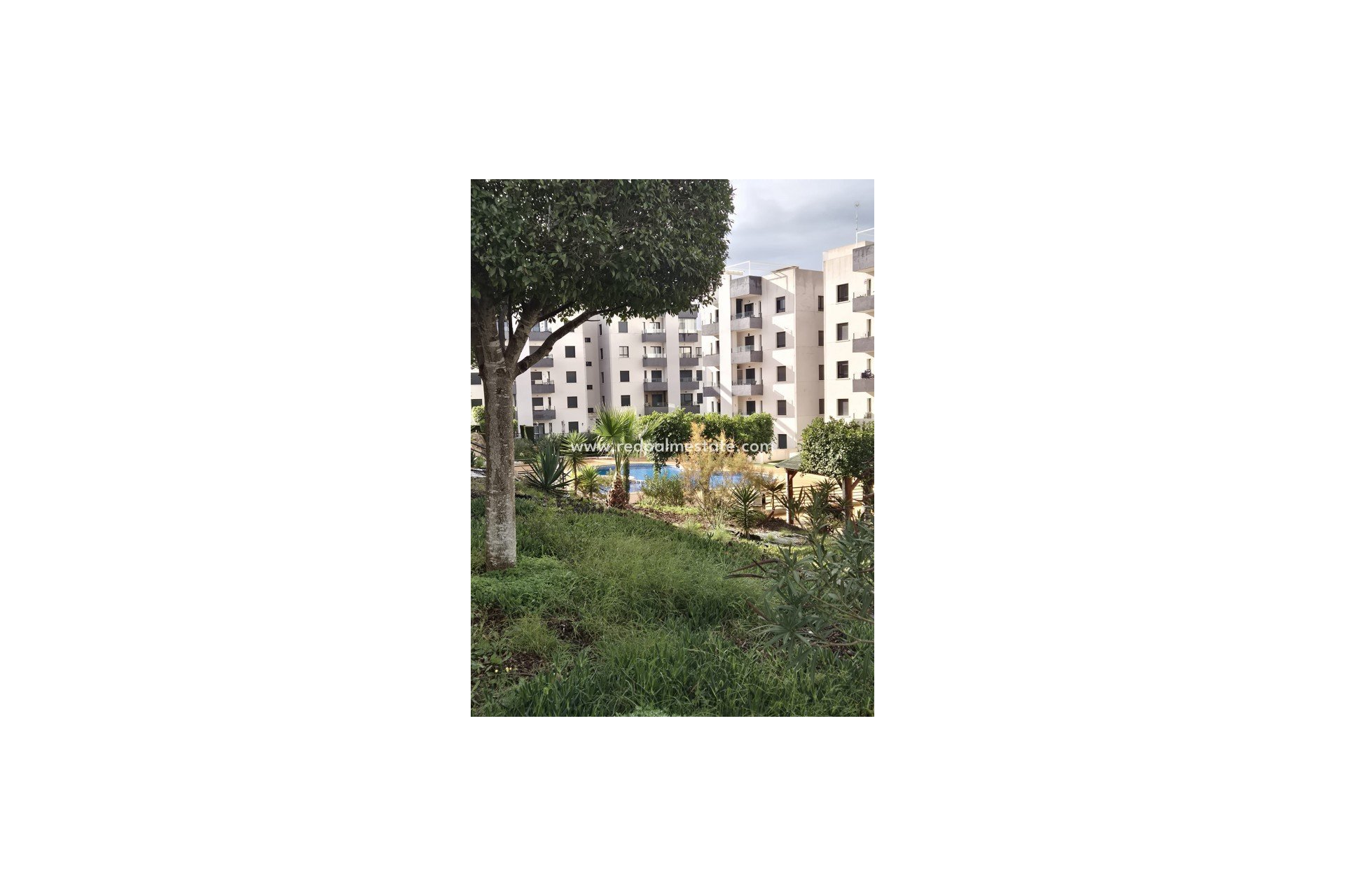 Resale - Apartment -
San Miguel de Salinas - San Miguel Salinas