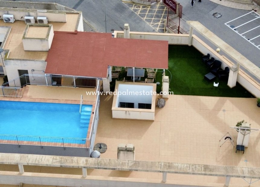 Resale - Apartment -
San Miguel de Salinas - San Miguel Salinas